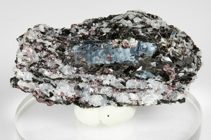 Blue Kyanite & Garnet in Biotite-Quartz Schist - Russia #178941